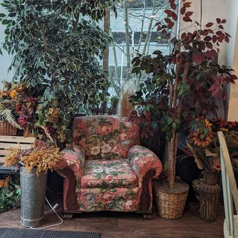 Cozy District Cafe - Instagrammable chair - New American Near Me - Fairfax, Virginia