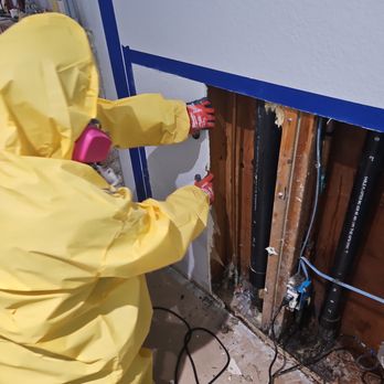 Pro Drain & Mitigation - Damage Restoration Near Me Pro Drain & Mitigation - Damage Restoration Near Me
