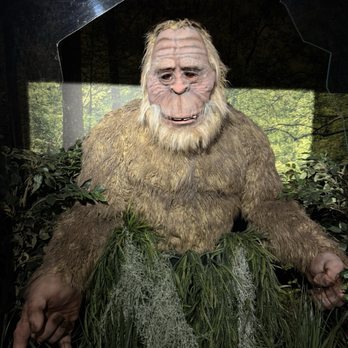 Ripley's Believe It or Not! - Big foot again - Tours Near Me - Saint Augustine, Florida Ripley's Believe It or Not! - Big foot again - Tours Near Me - Saint Augustine, Florida