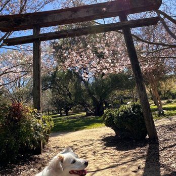 Markham Nature Park & Arboretum - Dog friendly park and trail - Parks Near Me - Concord, California