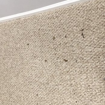 Spark and Shine Cleaning Services - I am not sure what this is but they clearly didn't vacuumed what looks to be tracked in by them when they came in. - Office Cleaning Near Me - Gainesville, Virginia