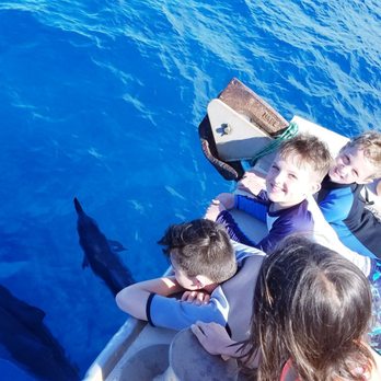 Maui Magic Snorkel - Seeing dolphins in between snorkeling - Snorkeling Near Me - Maalaea, Hawaii Maui Magic Snorkel - Seeing dolphins in between snorkeling - Snorkeling Near Me - Maalaea, Hawaii