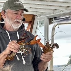 Camden Harbor Cruises - He really was very informative