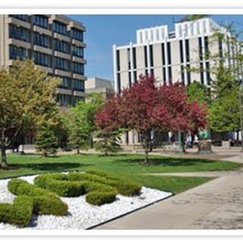 Wayne State University - Photo From www.wayne.edu - Colleges & Universities Near Me - Detroit, Michigan Wayne State University - Photo From www.wayne.edu - Colleges & Universities Near Me - Detroit, Michigan