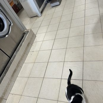 Super Laundromat - Washer, dryer, cat. - Laundromat Near Me - Brooklyn, New York Super Laundromat - Washer, dryer, cat. - Laundromat Near Me - Brooklyn, New York