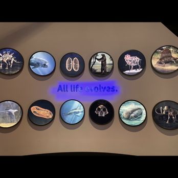 Field Museum - Museums Near Me - Chicago, Illinois Field Museum - Museums Near Me - Chicago, Illinois