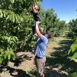 Cherry picking Cherry picking