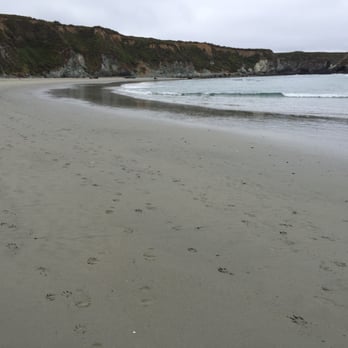 Sand Dollar Beach - Not too many sand dollars on the beach, found maybe 5 all around - Parks Near Me