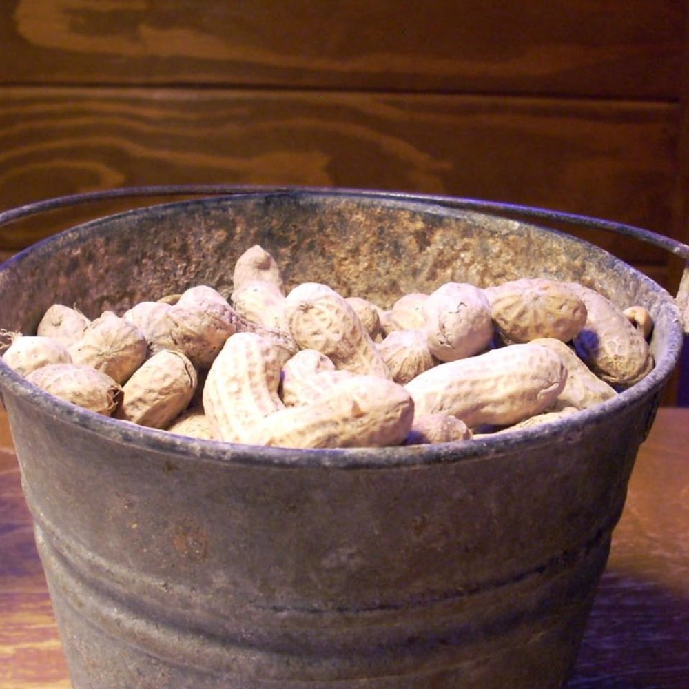 Texas Roadhouse - Bucket of peanuts - Steakhouses Near Me - Bear, Delaware Texas Roadhouse - Bucket of peanuts - Steakhouses Near Me - Bear, Delaware