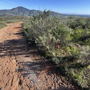 Dictionary Hill - Trail view - Parks Near Me - Spring Valley, California