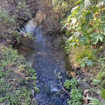 Kit Carson Park - Parks Near Me - Escondido, California
