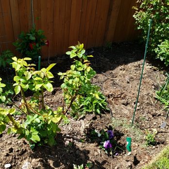 Emergency Sprinkler Repair Pros - Need to plant some flowers? We can help. - Lawn Services Near Me - Denver, Colorado Emergency Sprinkler Repair Pros - Need to plant some flowers? We can help. - Lawn Services Near Me - Denver, Colorado