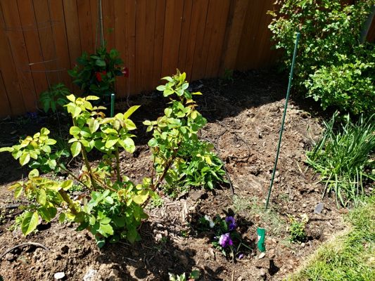 Emergency Sprinkler Repair Pros