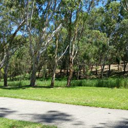 River Torrens Linear Reserve
