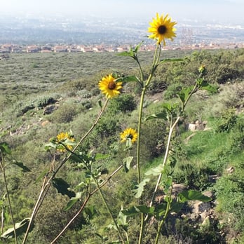 North Etiwanda Preserve - Hiking Near Me - Rancho Cucamonga, California