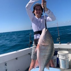 Salt n Sun Charters - Fishing charter florida keys Boat Charters Marathon
Discover the beauty of the islands, white sand beaches, coves 
Book Now