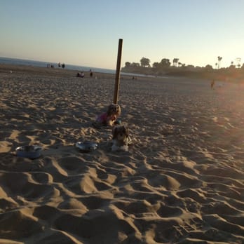Shoreline Cafe - My girls tiny and peanut - Seafood Near Me - Santa Barbara, California Shoreline Cafe - My girls tiny and peanut - Seafood Near Me - Santa Barbara, California