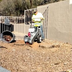 Big Ants Landscaping - Stump grinding a palm tree removal