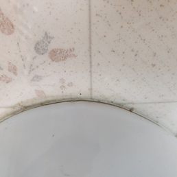 Is this Stanley Steamers' idea of clean? Is this Stanley Steamers' idea of clean?