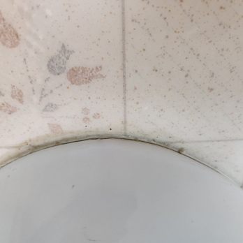 Stanley Steemer - Is this Stanley Steamers' idea of clean? - Carpet Cleaning Near Me - San Jose, California Stanley Steemer - Is this Stanley Steamers' idea of clean? - Carpet Cleaning Near Me - San Jose, California