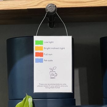 The Concrete Jungle - Color coded price tags for each plant - Coffee & Tea Near Me - Brooklyn, New York The Concrete Jungle - Color coded price tags for each plant - Coffee & Tea Near Me - Brooklyn, New York