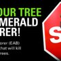 Photo of Arbor Pro Tree Service
