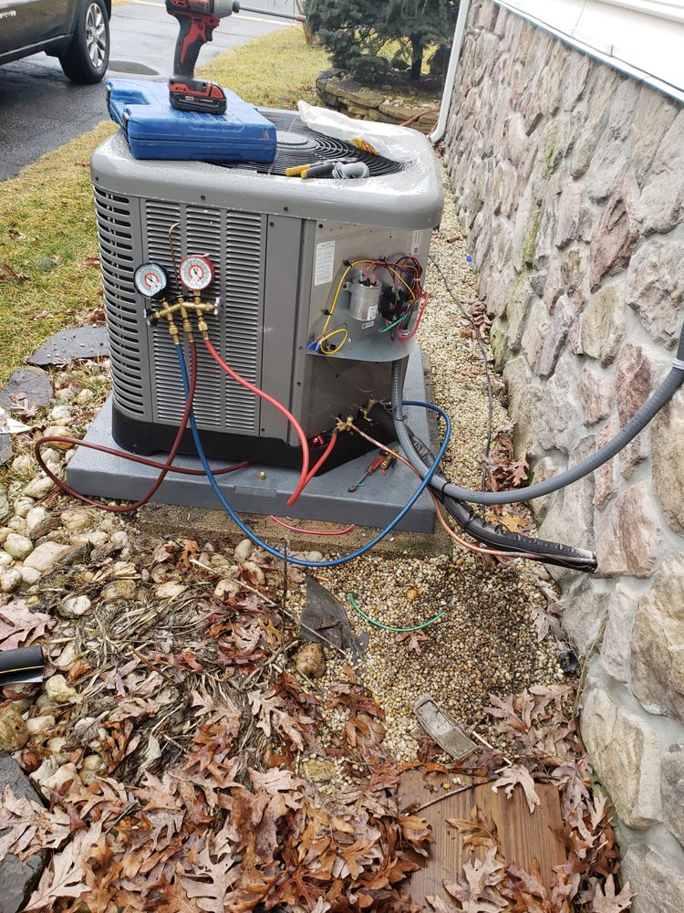 Slide of Jenalia Mechanical