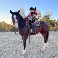 Horsemanship Redefined