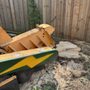 Photo of Lightning Stump Removal