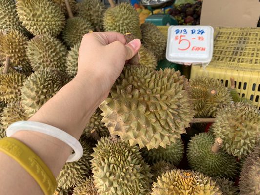 Durian 36 by null