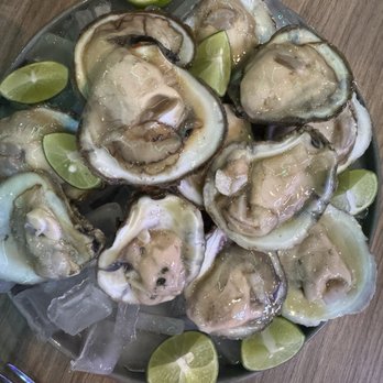 La Bodega - Fresh oysters - Steakhouses Near Me - Yuma, Arizona La Bodega - Fresh oysters - Steakhouses Near Me - Yuma, Arizona