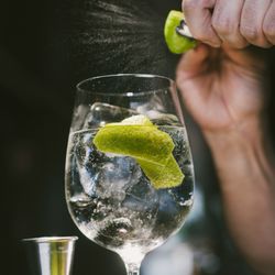 La Villa - Twist de limón verde sin tratamientos postproducción