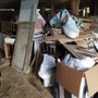 Captain Junk Cleanup