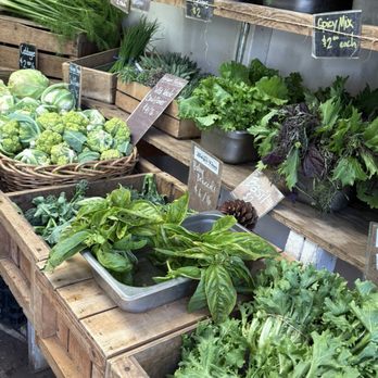Halcyon Farms - Fresh salad produce - Farmers Market Near Me - Arroyo Grande, California