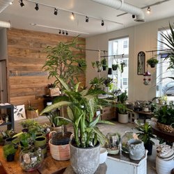 Audrey's Little Shop of Plants