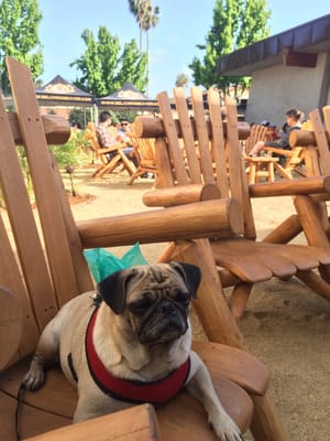 Belching Beaver Brewery Tavern and Grill (Downtown Vista) by null