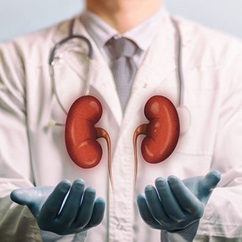 Urology Associates - Surgeons Near Me - Saint George, Utah Urology Associates - Surgeons Near Me - Saint George, Utah