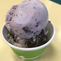 Huckleberry & Moosetracks