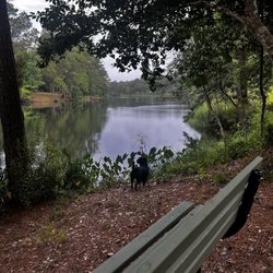 Woodsy Hollow Campground