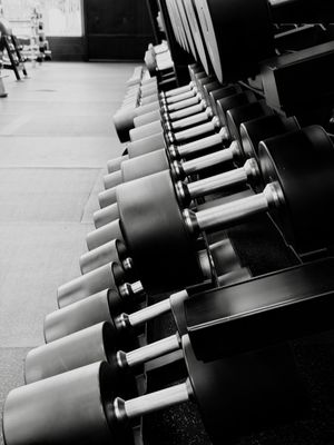 Top-of-the-Line Equipment & Free Weights - Train with premium cardio machines, plate-loaded strength equipment, and an extensive free weight selection, plus dedicated zones for functional and power training. Legacy Fitness gives you everything you need for serious results.