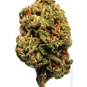 Tree Frog Botanicals - Cannabis Dispensaries Near Me Tree Frog Botanicals - Cannabis Dispensaries Near Me