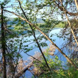 Alaska Nature Guides