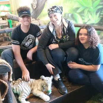 Atv Ensenada - They have an enclosure where you can cuddle exoctic baby animals at La Bufadora - Tours Near Me - Ensenada, BCN Atv Ensenada - They have an enclosure where you can cuddle exoctic baby animals at La Bufadora - Tours Near Me - Ensenada, BCN