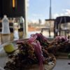 By All Means Brewing gift card