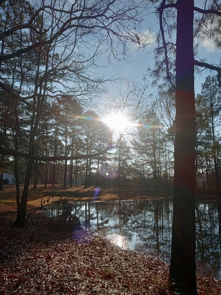 WHOLESOME CLEANING Request a Quote 11 Photos Griffin, Office Cleaning Phone