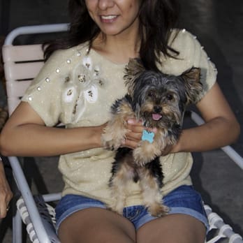 Man's Best Friend - Pet Sitting Near Me - El Centro, California Man's Best Friend - Pet Sitting Near Me - El Centro, California