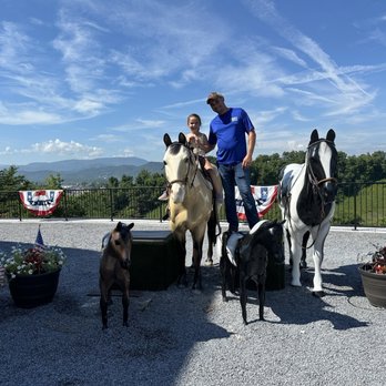 SkyLand Ranch - Attraction Farms Near Me - Sevierville, Tennessee SkyLand Ranch - Attraction Farms Near Me - Sevierville, Tennessee