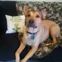 Photo of Kirbyville Veterinary Clinic