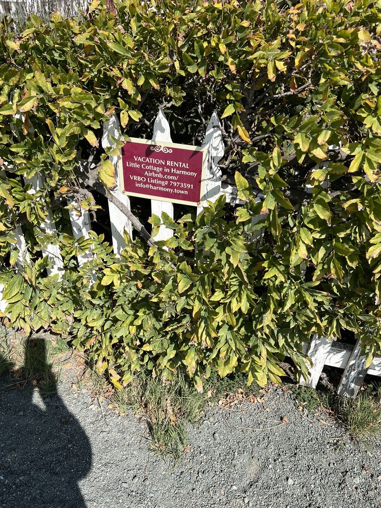 Cute little VRBO Yelp