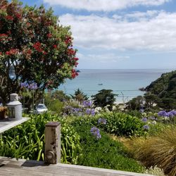 The Boatshed Hotel
